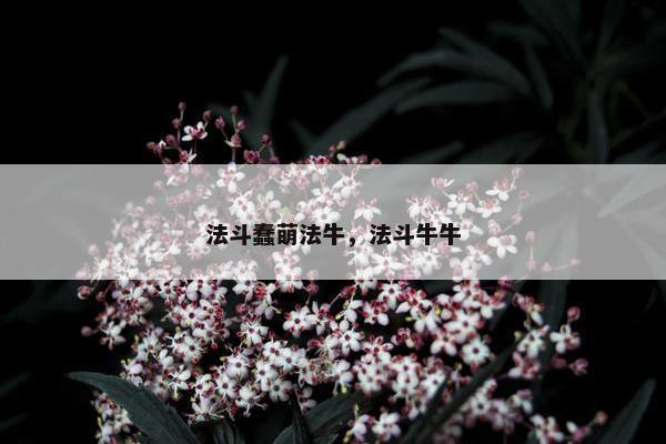 斗牛 第4页