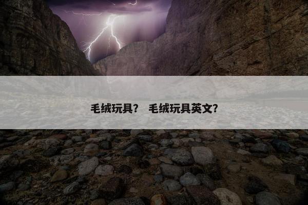 毛绒玩具？ 毛绒玩具英文？