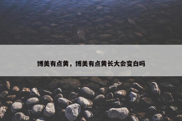 博美有点黄，博美有点黄长大会变白吗