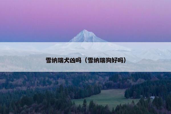 雪纳瑞犬凶吗（雪纳瑞狗好吗）