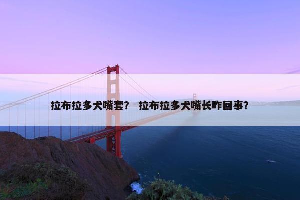 拉布拉多犬嘴套？ 拉布拉多犬嘴长咋回事？