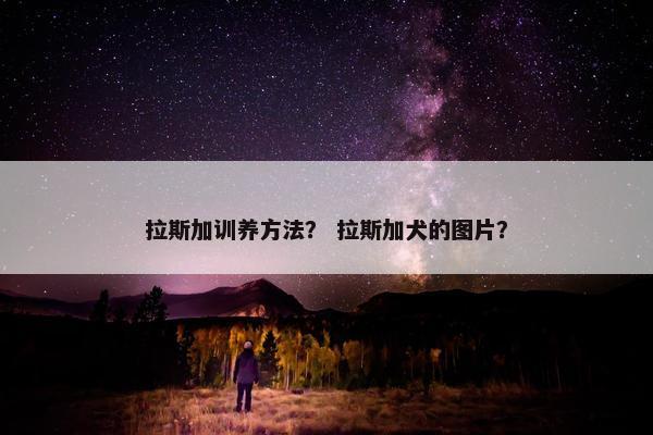 2025年10月12日 第10页