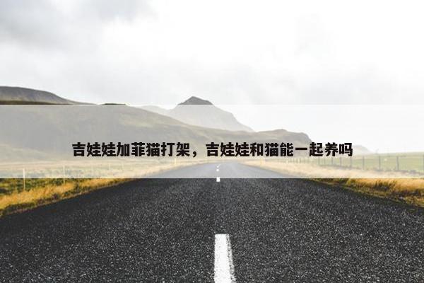 吉娃娃加菲猫打架，吉娃娃和猫能一起养吗