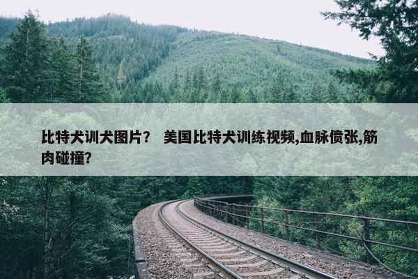 比特犬训犬图片？ 美国比特犬训练视频,血脉偾张,筋肉碰撞？