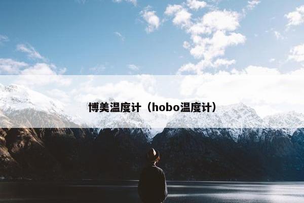 博美温度计（hobo温度计）