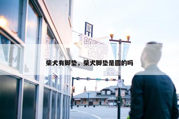 柴犬有脚垫，柴犬脚垫是圆的吗
