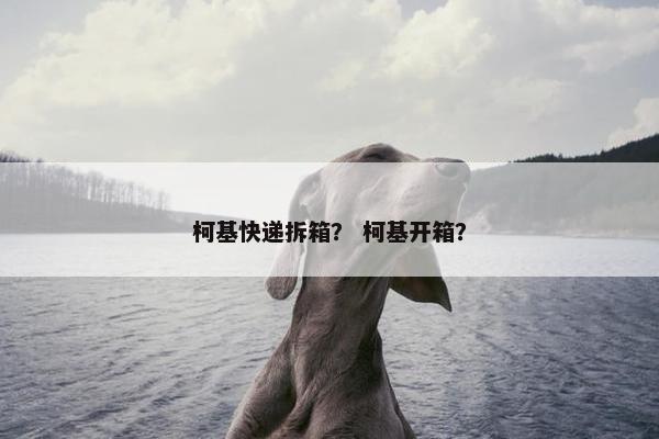 柯基快递拆箱？ 柯基开箱？