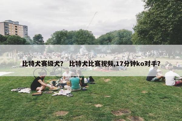比特犬赛级犬？ 比特犬比赛视频,17分钟ko对手？