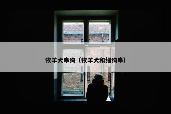 牧羊犬串狗（牧羊犬和细狗串）