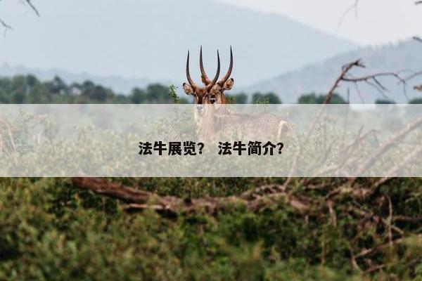 法牛展览？ 法牛简介？