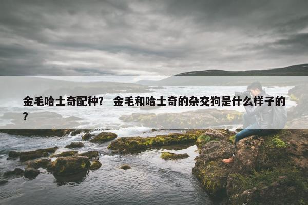 2025年10月13日 第9页