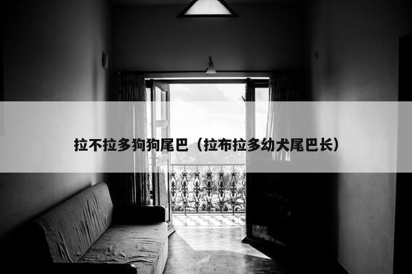 拉不拉多狗狗尾巴（拉布拉多幼犬尾巴长）