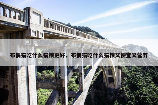 布偶猫吃什么猫粮更好，布偶猫吃什么猫粮又便宜又营养