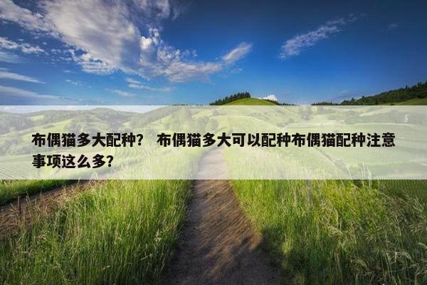 2025年10月13日 第7页