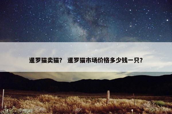 暹罗猫卖猫？ 暹罗猫市场价格多少钱一只？