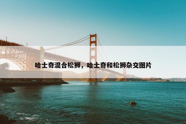 哈士奇混合松狮，哈士奇和松狮杂交图片