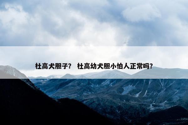 杜高犬胆子？ 杜高幼犬胆小怕人正常吗？
