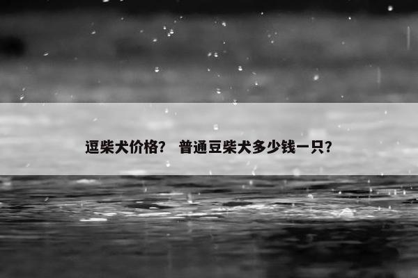 逗柴犬价格？ 普通豆柴犬多少钱一只？