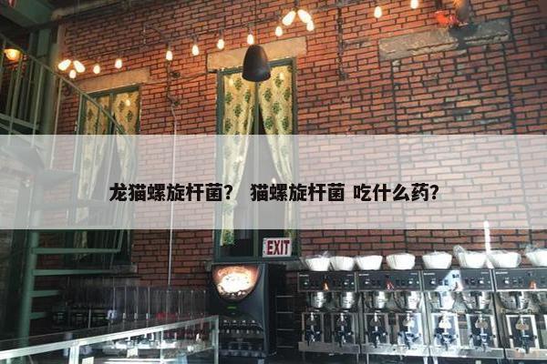 可能 第7页