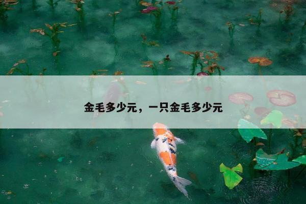 金毛多少元，一只金毛多少元
