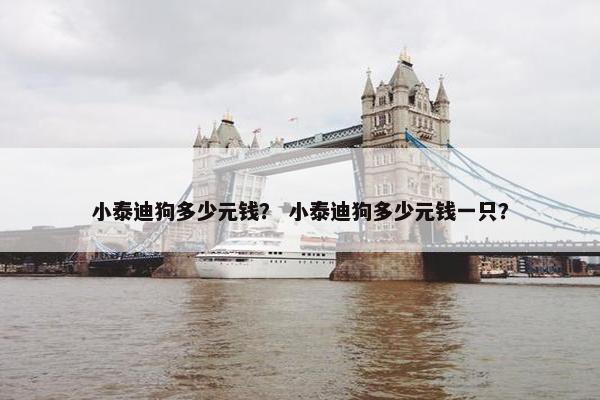 小泰迪狗多少元钱？ 小泰迪狗多少元钱一只？
