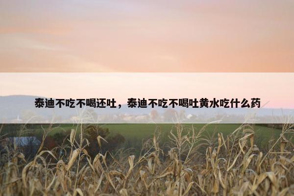 泰迪不吃不喝还吐，泰迪不吃不喝吐黄水吃什么药