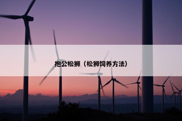 抱公松狮（松狮饲养方法）