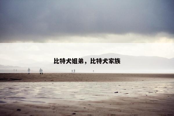 比特犬姐弟，比特犬家族