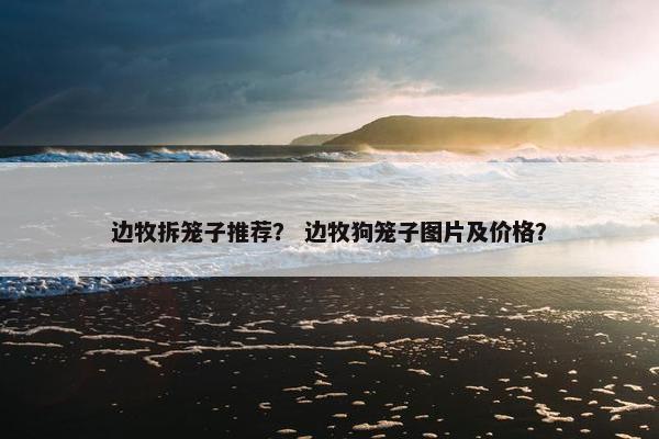 边牧拆笼子推荐？ 边牧狗笼子图片及价格？