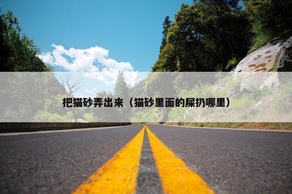 把猫砂弄出来（猫砂里面的屎扔哪里）