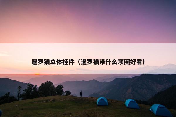 任务