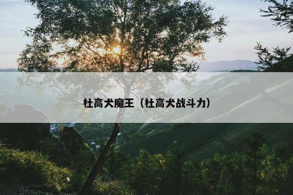 杜高犬魔王（杜高犬战斗力）