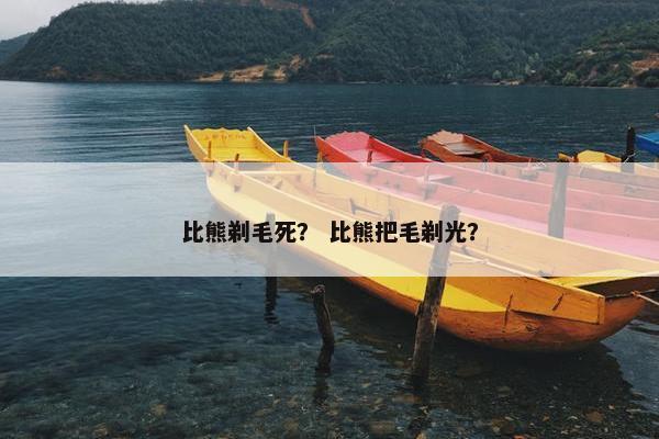 比熊剃毛死？ 比熊把毛剃光？