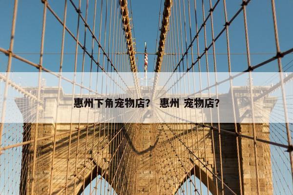 惠州下角宠物店？ 惠州 宠物店？