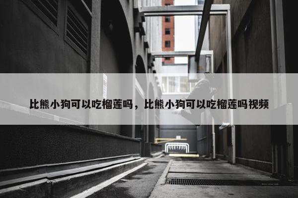 比熊小狗可以吃榴莲吗，比熊小狗可以吃榴莲吗视频