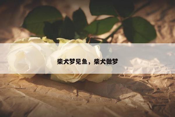 动画片