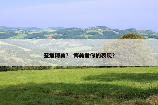 宠爱博美？ 博美爱你的表现？