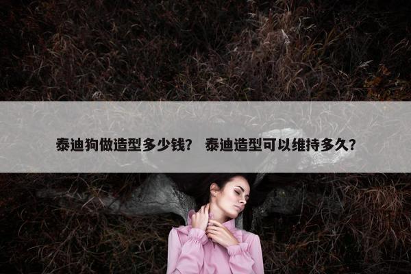 泰迪狗做造型多少钱？ 泰迪造型可以维持多久？
