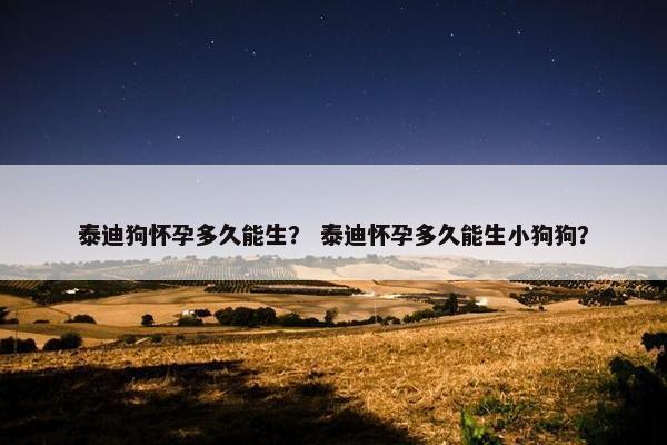 泰迪 第7页