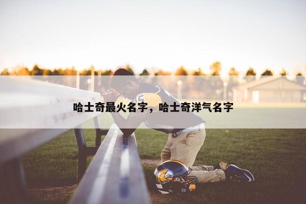 哈士奇最火名字，哈士奇洋气名字