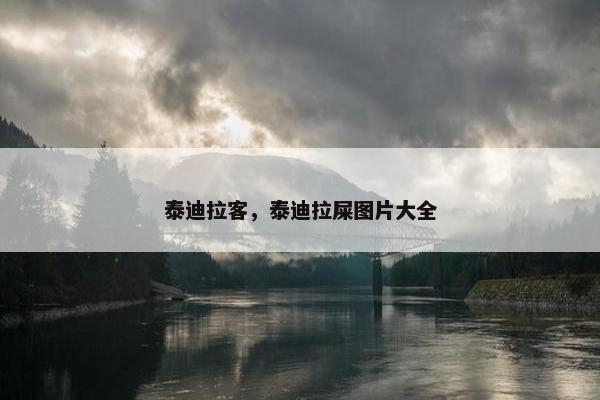 汽车