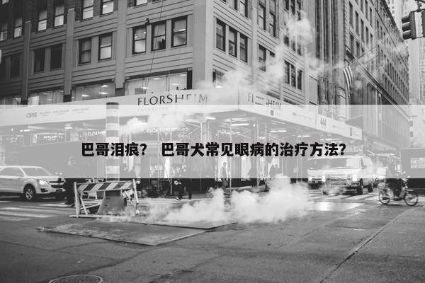 巴哥泪痕？ 巴哥犬常见眼病的治疗方法？
