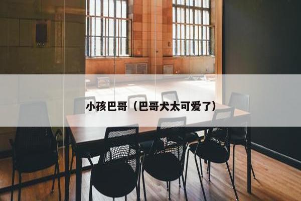 小孩巴哥（巴哥犬太可爱了）