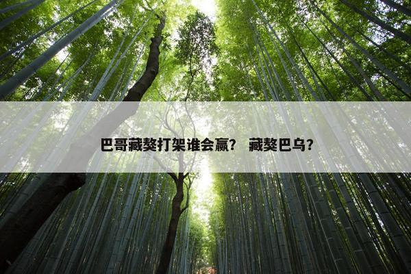 巴哥藏獒打架谁会赢？ 藏獒巴乌？