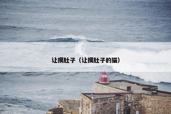 让摸肚子（让摸肚子的猫）