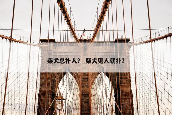 柴犬总扑人？ 柴犬见人就扑？