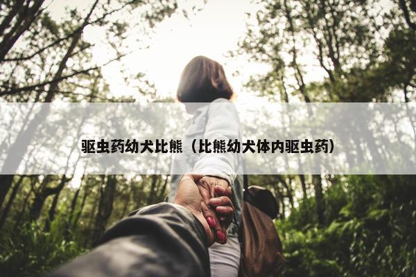 驱虫药幼犬比熊（比熊幼犬体内驱虫药）