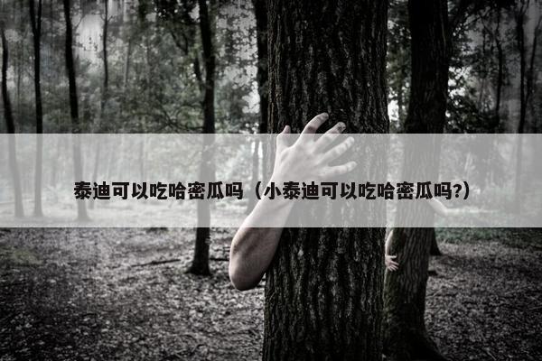 泰迪可以吃哈密瓜吗（小泰迪可以吃哈密瓜吗?）