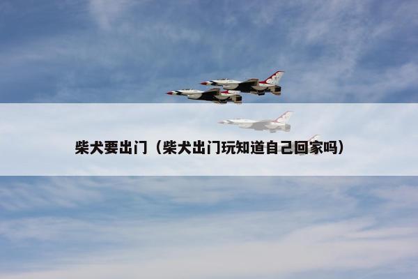 柴犬要出门（柴犬出门玩知道自己回家吗）