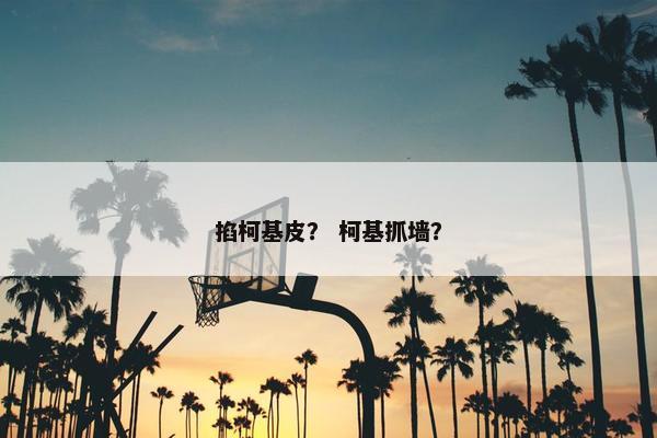 掐柯基皮？ 柯基抓墙？